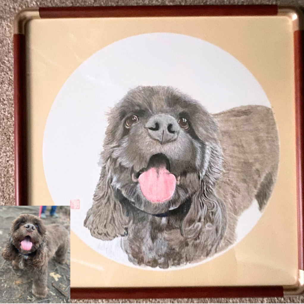 Custom Pet Portraits