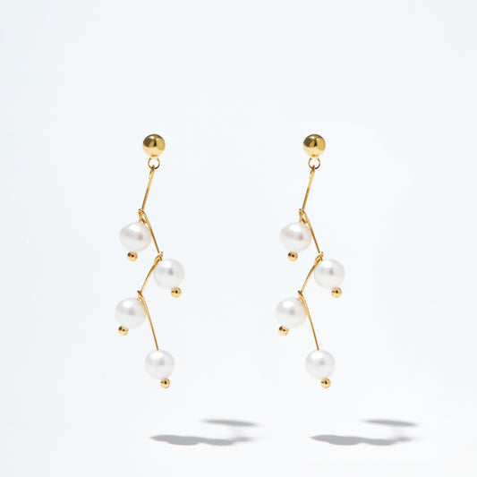 Stella’s Constellation