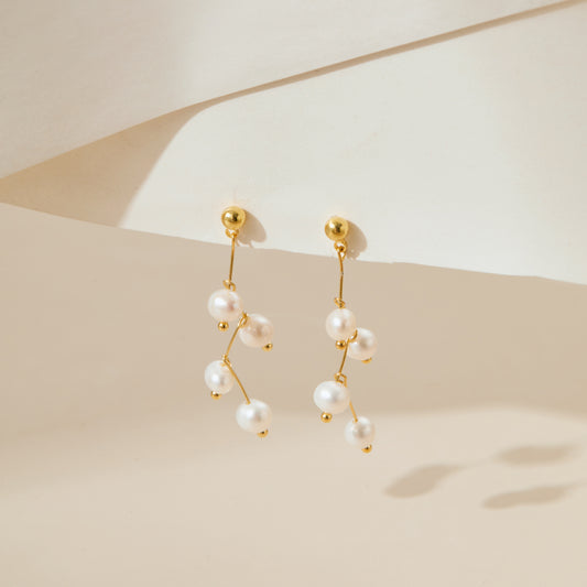 Stella’s Constellation